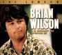 The Lowdown - Brian Wilson
