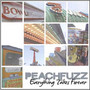 Everything Takes Forever - Peachfuzz