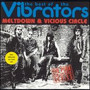Vicious Circle - The Vibrators