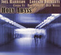 Holy Abyss - Joel Harrison / Lorenzo Fe