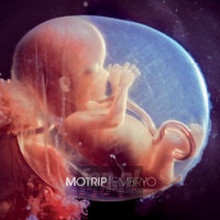 Embryo - Motrip Embryo - Motrip