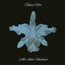 Aha Shake Heartbreak - Kings Of Leon Aha Shake Heartbreak - Kings Of Leon