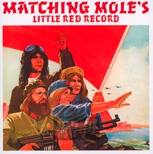 Little Red Record - Matching Mole