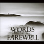 Immersion - Words Of Farewell