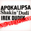 Niepublikowane - Irek Dudek / Shakin' Dudi