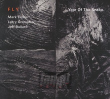 Year Of The Snake - The Fly