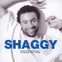 Essential - Shaggy