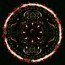 Amaryllis - Shinedown Amaryllis - Shinedown