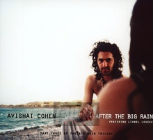 After The Big Rain - Avishai Cohen