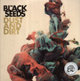 Dust & Dirt - Black Seeds