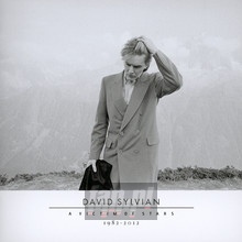 A Victim Of Stars 1982-2012 - David Sylvian - bigger A Victim Of Stars 1982-2012 - David Sylvian