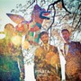 Pinata - Volcano