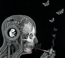 Cognitive - Soen