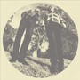 Hair - Ty Segall  & White Fence