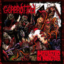 Mutilated In Minutes Re-Dux - Gorerotted