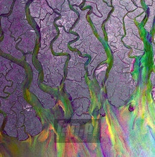 An Awesome Wave - Alt-J