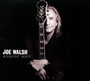 Analog Man - Joe Walsh