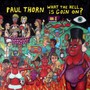 What The Hell Is Goin' On - Paul Thorn