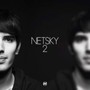2 - Netsky