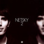 2 - Netsky