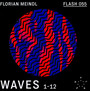 Waves 1-12 - Florian Meindl