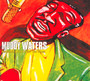 Screamin' & Cryin' - Muddy Waters