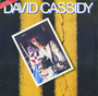 Gettin' It In The Streets - David Cassidy
