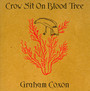 Crow Sit On Blood Tree - Graham Coxon