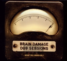 Dub Sessions - What You Gonna Do - Brain Damage
