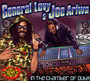 In The Chamber Of Dub - General Levy