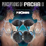 Perceptions Of Pacha 9 - V/A