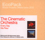 Every Day/Ma Fleur - The Cinematic Orchestra 