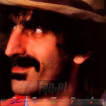 You Are What You Is - Frank Zappa