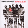 Glad All Over - The Wallflowers