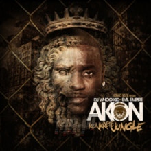 Concrete Jungle - Akon