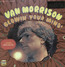 Blowin' Your Mind - Van Morrison