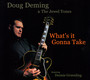 What's It Gonna Take - Doug Deming