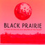 Tear In The Eye Is A Wound In The Heart - Black Prairie