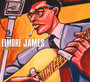 Rollin' & Slidin' - Elmore James