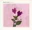 Belladonna - Daniel Lanois