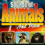 Animals Backround Music - Sound Effects