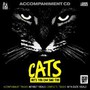 Cats - The Cats