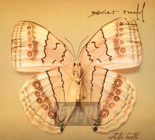 White Moth - Xavier Rudd
