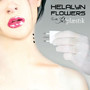 Plaestik - Helalyn Flowers