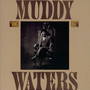 King Bee - Muddy Waters