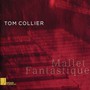 Mallet Fantastique - Tom Collier