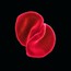 Scratch My Back - Peter Gabriel Scratch My Back - Peter Gabriel