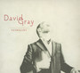 Foundling - David Gray