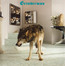 Grinderman 2 - Grinderman   