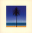 The English Riviera - Metronomy